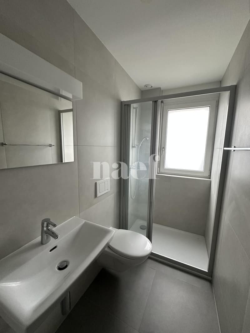 Appartement 3.5 pièces avec balcon (6)