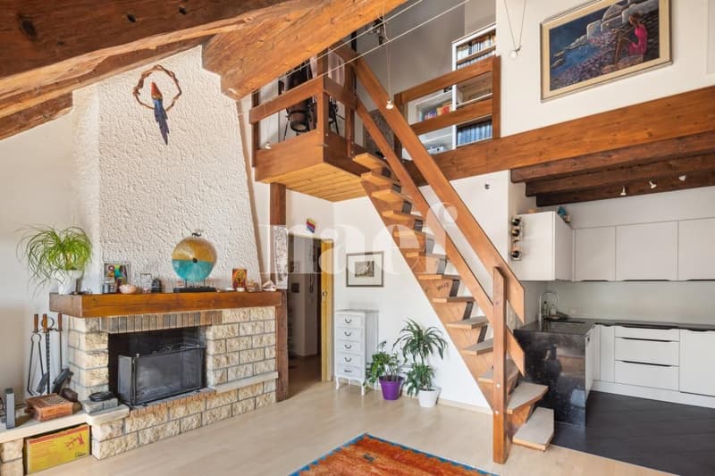 Bellissimo 4.5 locali attico duplex di 105 m² (2)