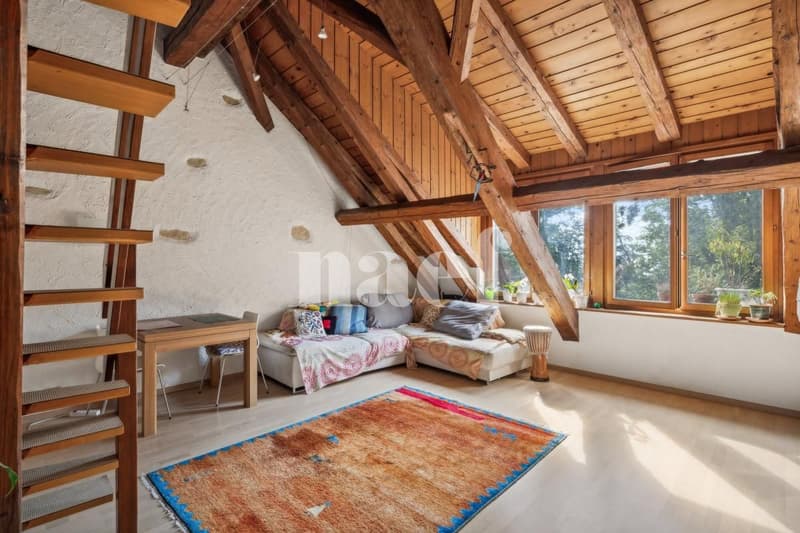 Bellissimo 4.5 locali attico duplex di 105 m² (1)
