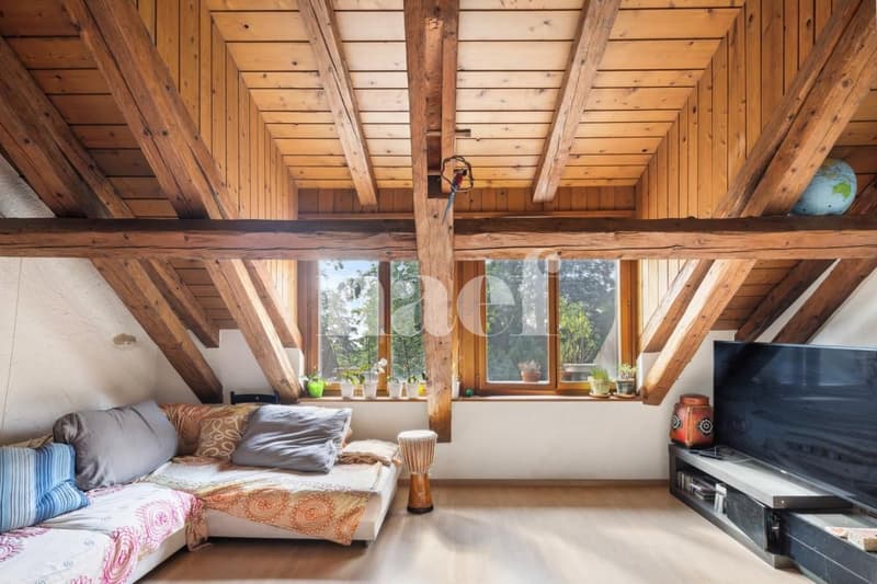Bellissimo 4.5 locali attico duplex di 105 m² (10)