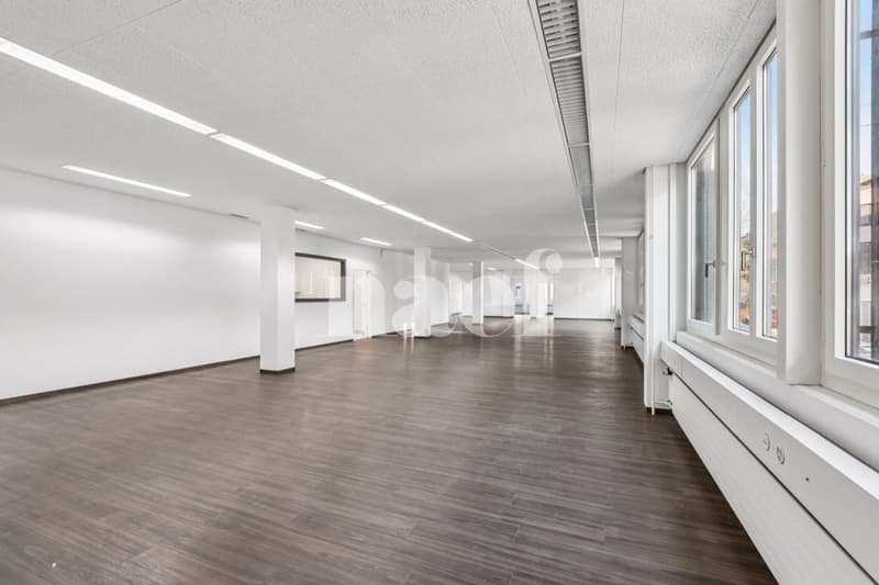 Neue Gewerbefläche von 534 m2 verfügbar (4)