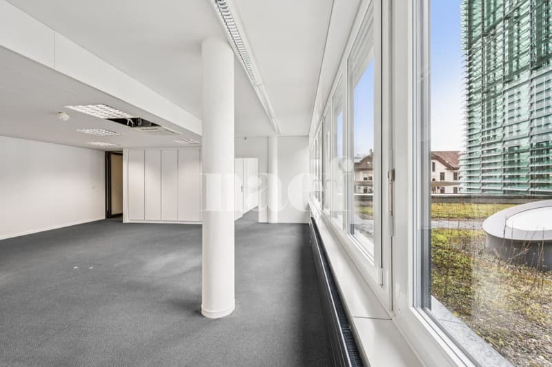 Kommerzielle Räumlichkeiten ideal im Herzen der Stadt gelegen. (8)