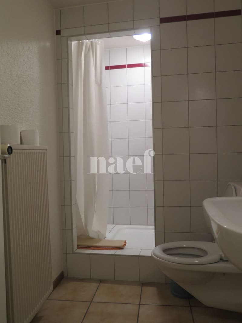 Zu vermieten, Gewerberaum von etwa 80m2 in St-Aubin. (4)