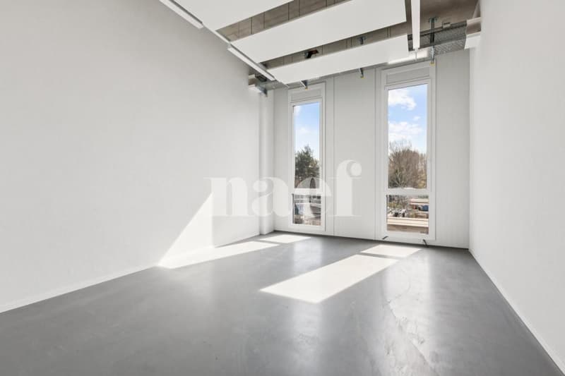 Außergewöhnlicher Lagerplatz von 246 m2, nicht zu verpassen (2)