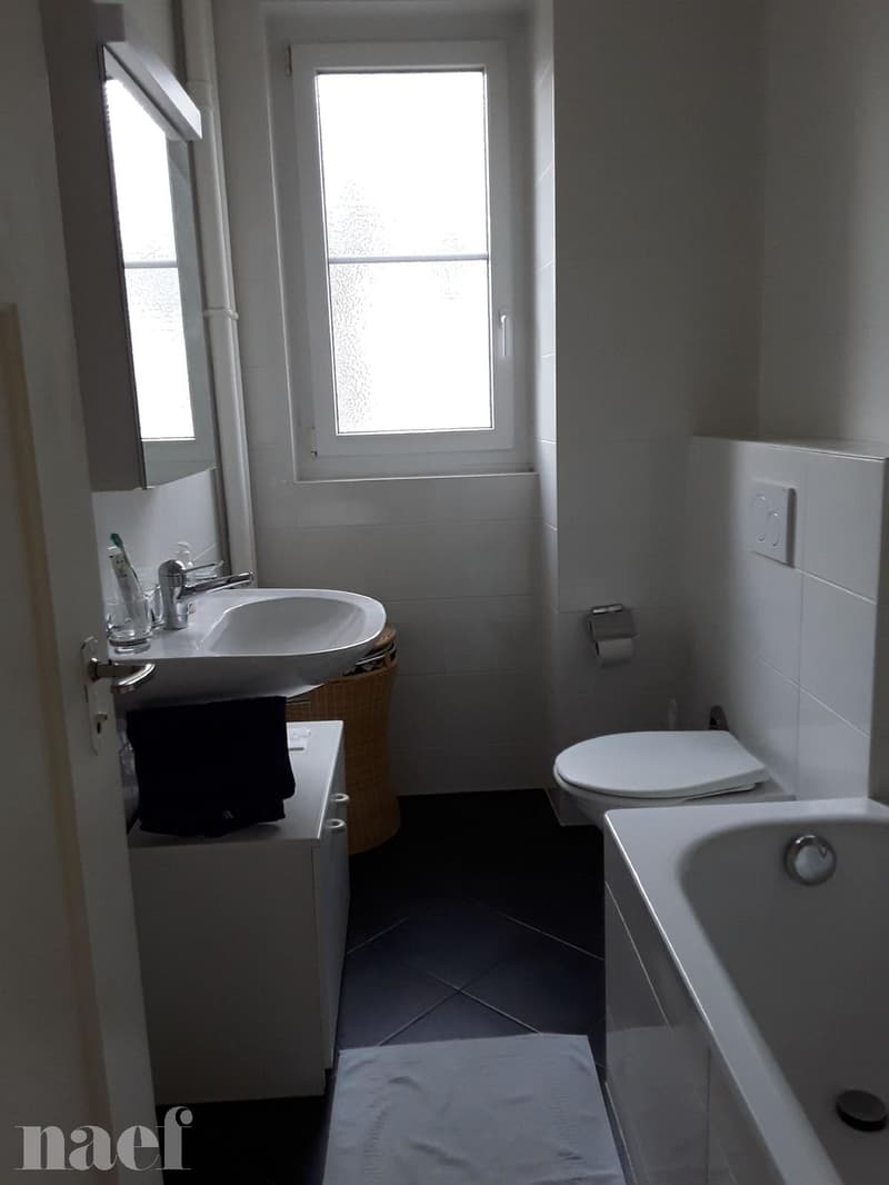 Schönes 3-Zimmer-Apartment in Neuchâtel (Maladière-Viertel) (3)