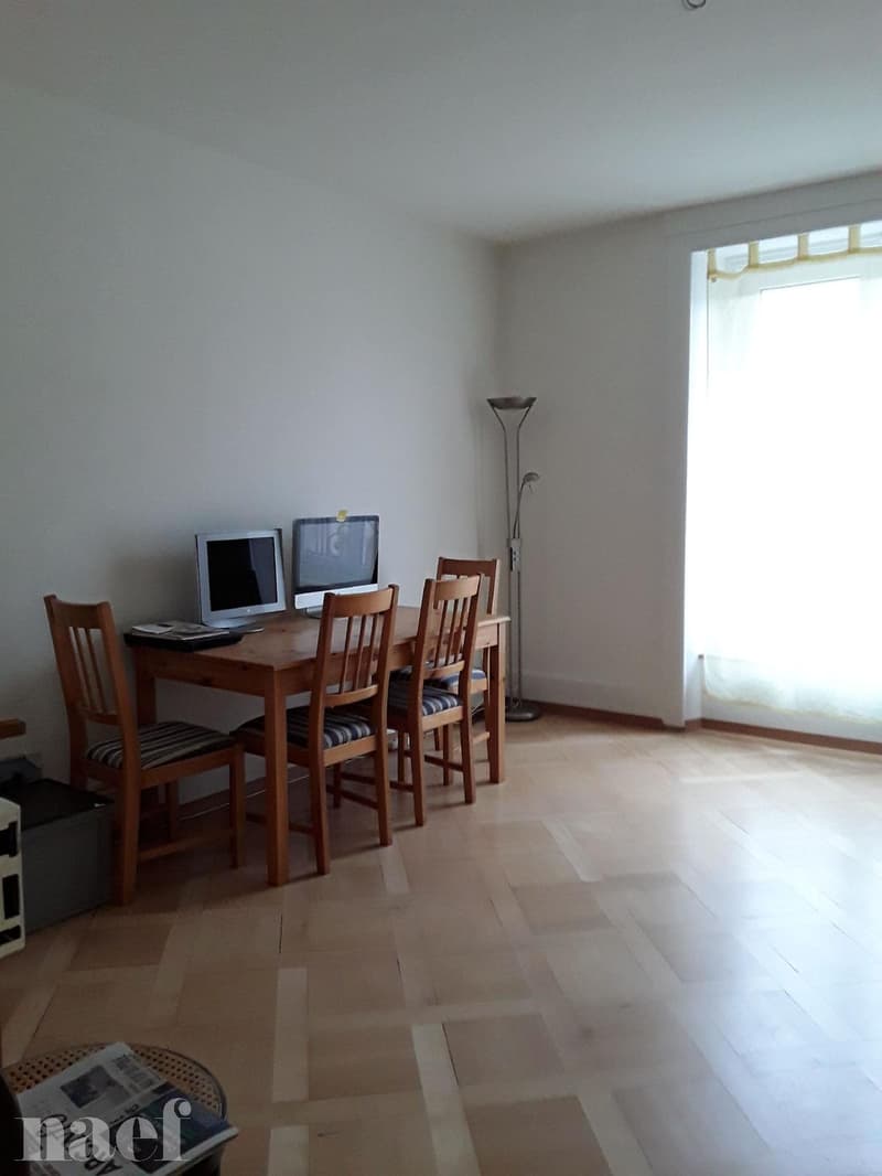 Schönes 3-Zimmer-Apartment in Neuchâtel (Maladière-Viertel) (5)