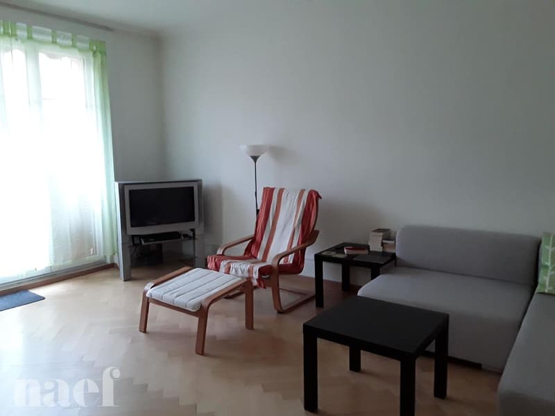 Schönes 3-Zimmer-Apartment in Neuchâtel (Maladière-Viertel) (4)
