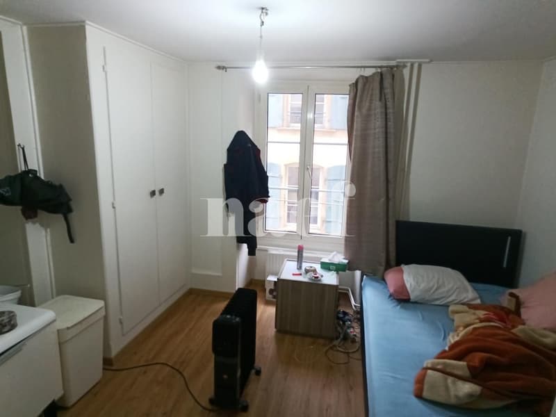 Apartment located in the city center, in the pedestrian zone. (2)