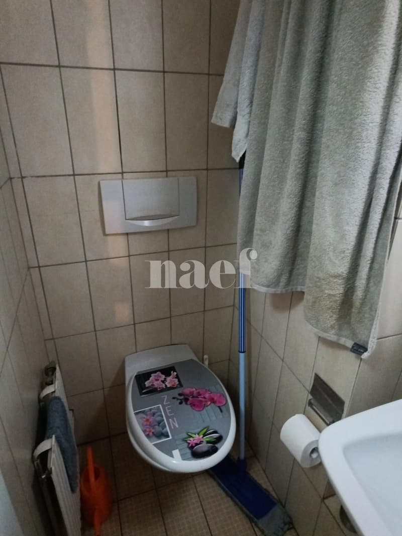 Apartment located in the city center, in the pedestrian zone. (5)