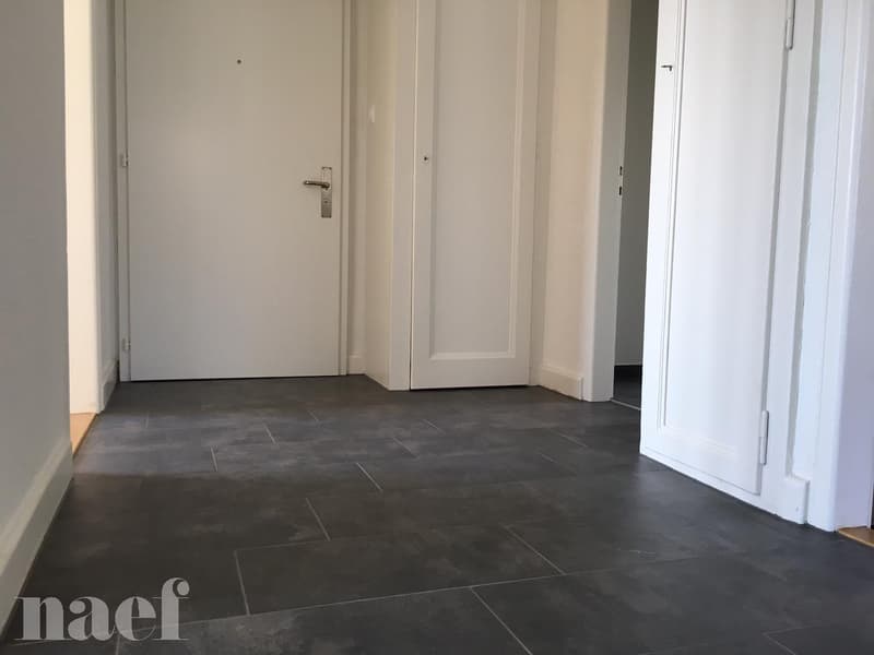Proche du centre ville, appartement de 3 pièces (3)