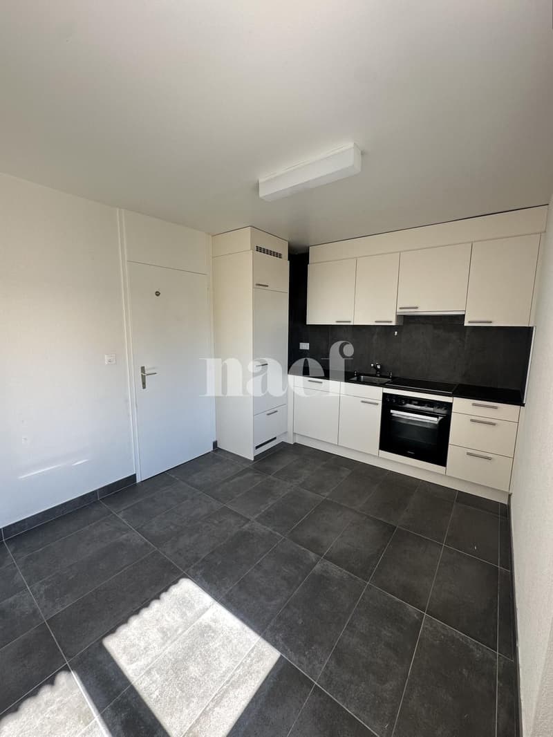 Wohnung 3.5 Zimmer (1)