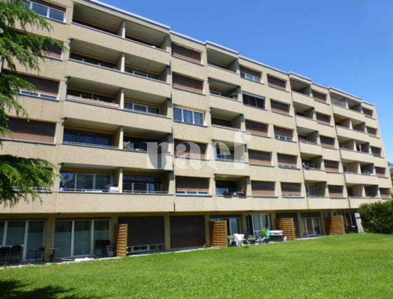 Appartamento di due locali al piano terra (1)