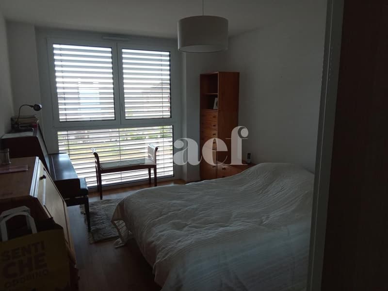 Bello appartamento con cornice, ideale posizione (2)
