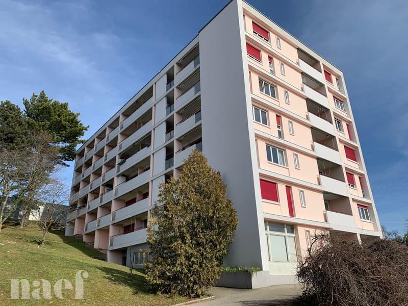 Studio komplett renoviert im oberen Teil der Stadt (1)