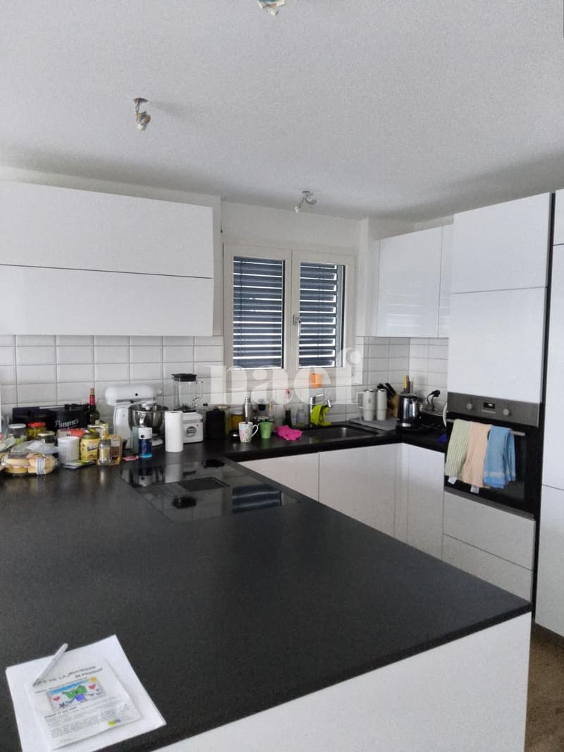 Meraviglioso appartamento di 4,5 locali con vista sul lago (4)