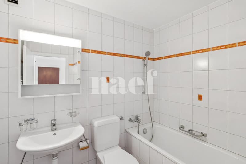 A Cormondrèche, in un edificio tranquillo (7)