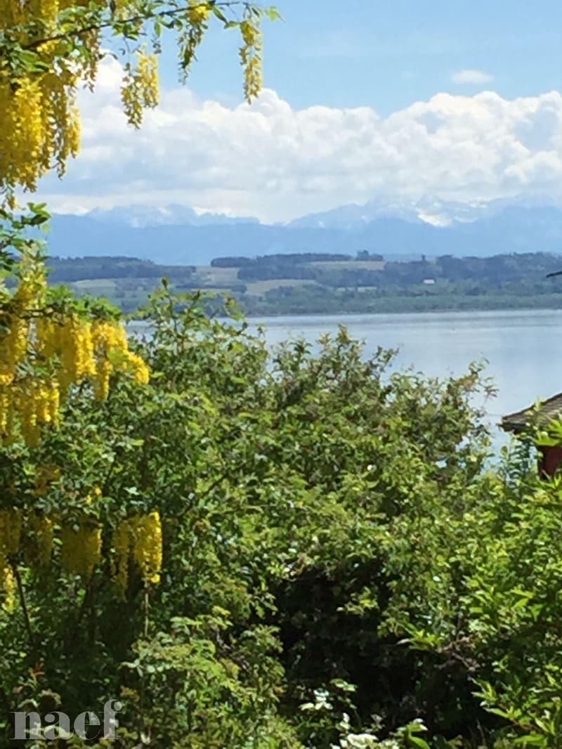 Im Herzen der Weinberge, im Dorf St-Blaise (7)
