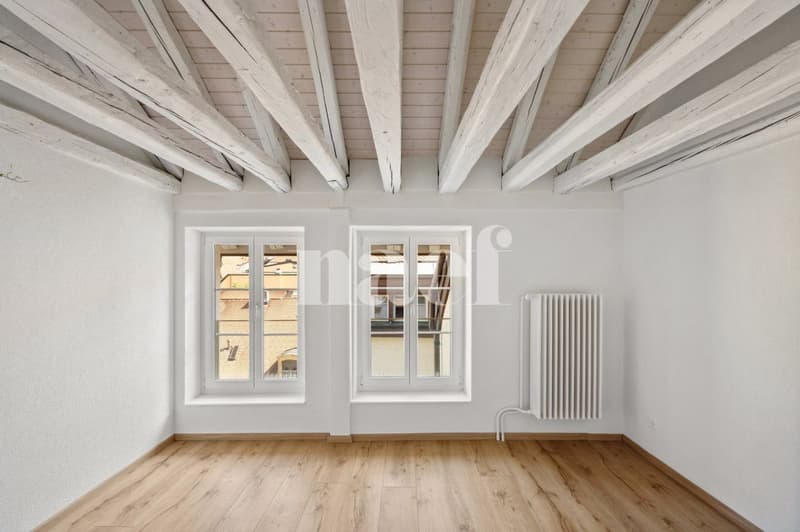 Bel appartement atypique situé au coeur de la Ville. (5)