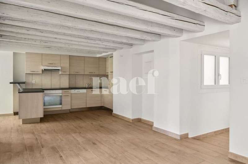Bel appartement atypique situé au coeur de la Ville. (11)