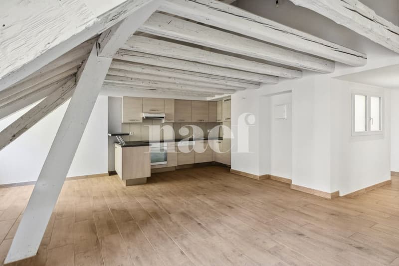 Bel appartement atypique situé au coeur de la Ville. (12)