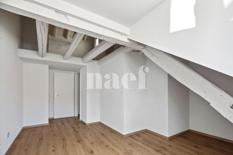 Bel appartement atypique situé au coeur de la Ville. (7)