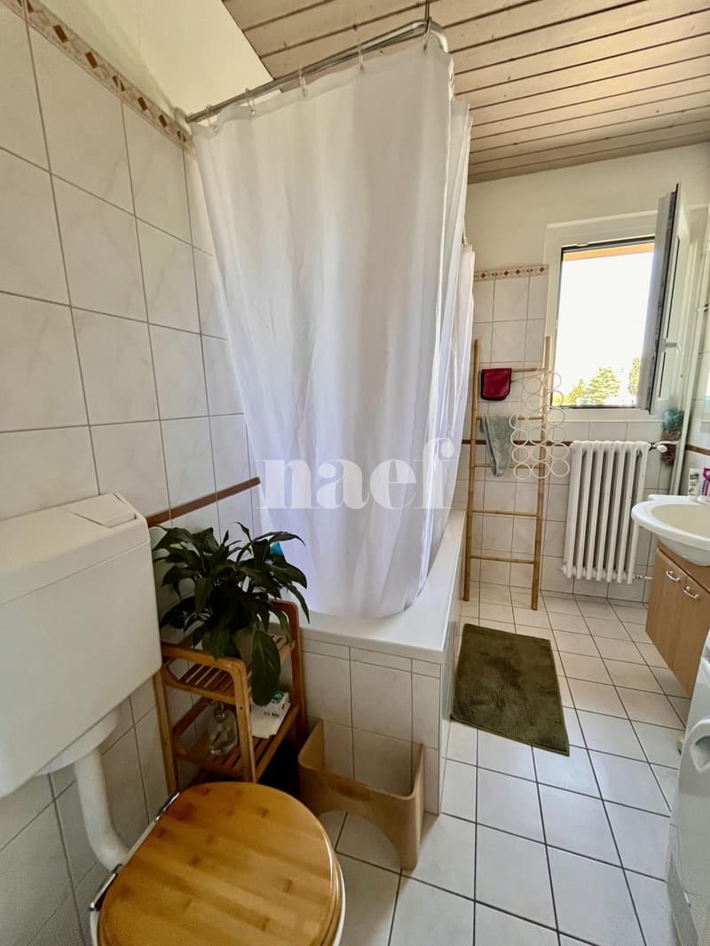 Large 4.5-room apartment ideally located (9)