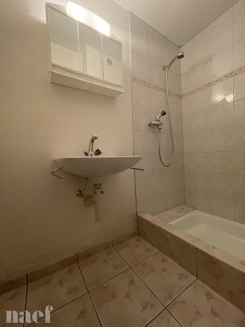 Two-room apartment in the city center of Neuchâtel (5)