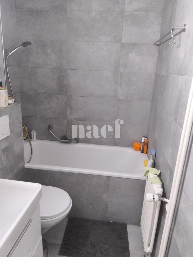 Appartement de 3 pièces au rez-de-chaussée (9)