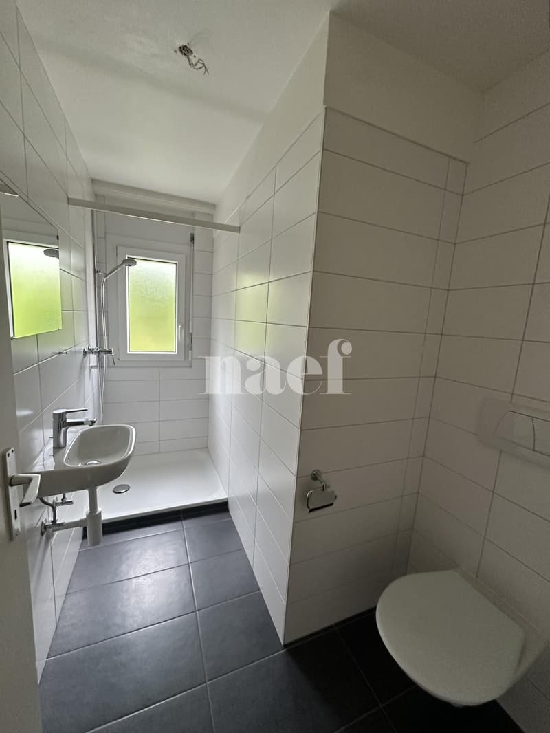 4.5-room apartment with lake view (8)
