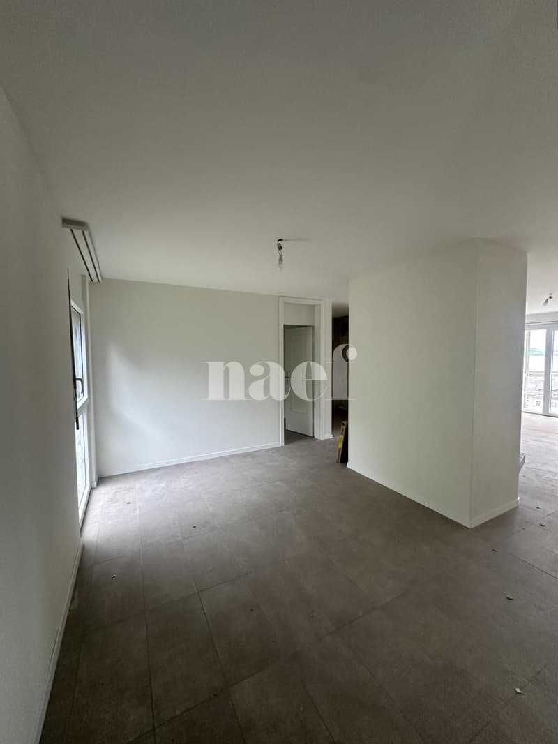 Appartamento ristrutturato con vista sul lago (3)