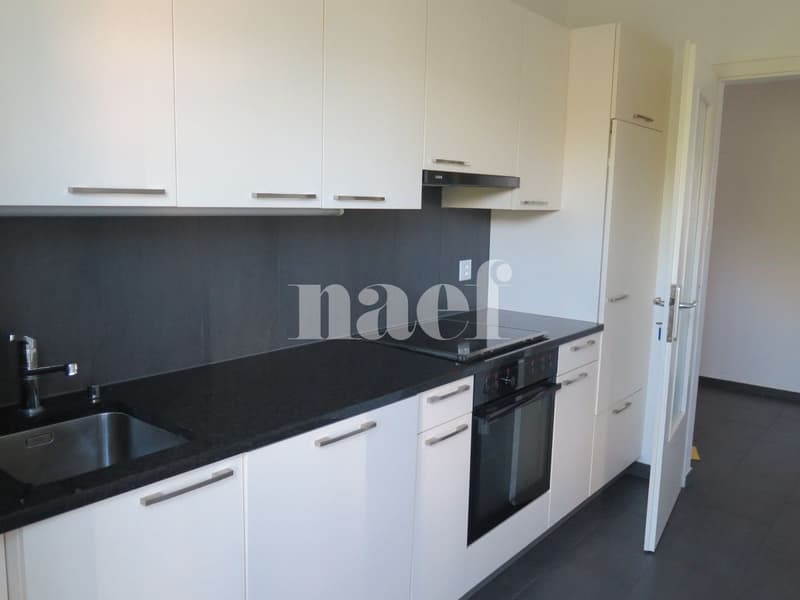 Renovated 4-room apartment with large balcony (3)