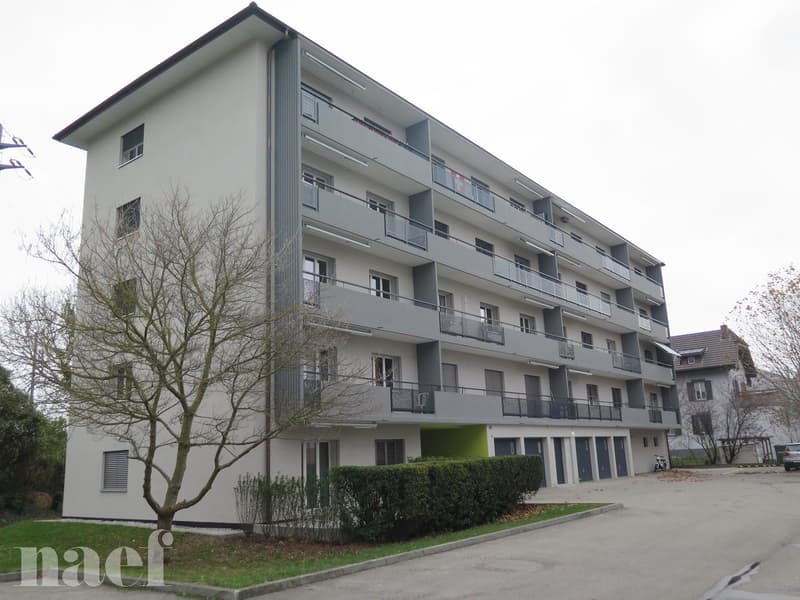 Renovated 4-room apartment with large balcony (1)