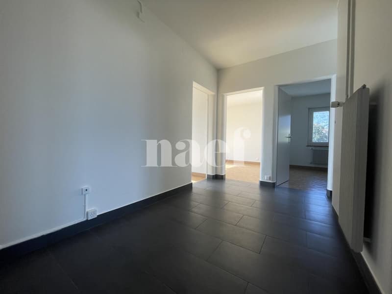 Appartement rénové (1)