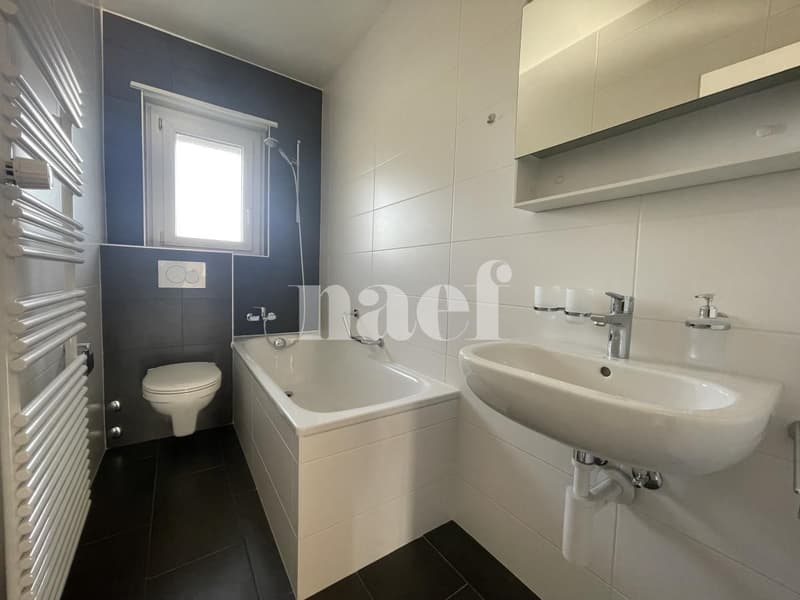Appartement rénové (3)