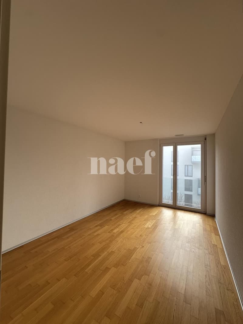Appartamento in un edificio recente (4)