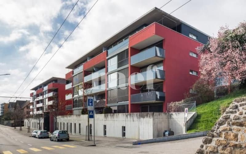 Appartamento 3.5 locali con terrazza (1)