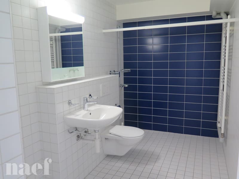 Appartement in einem behindertengerechten Gebäude (6)