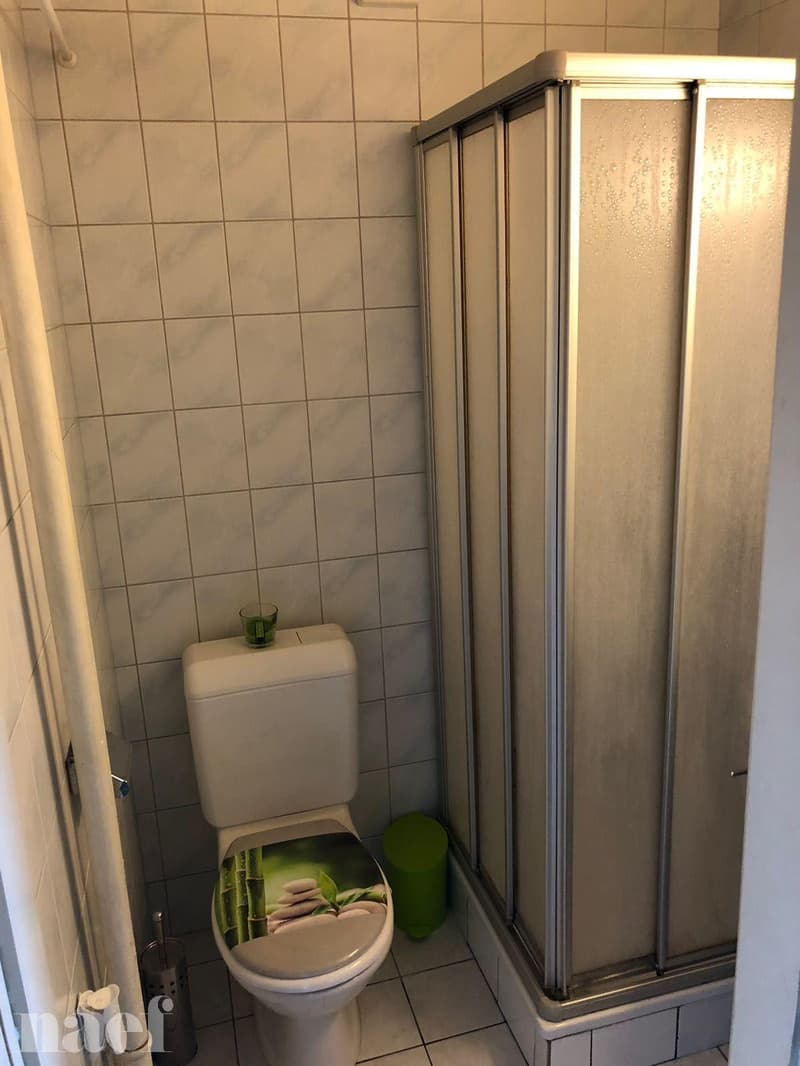 Beautiful 1.5-room apartment in a lovely small house in Colombier (5)