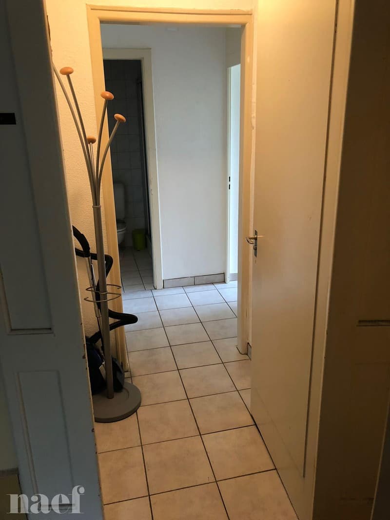 Beautiful 1.5-room apartment in a lovely small house in Colombier (6)
