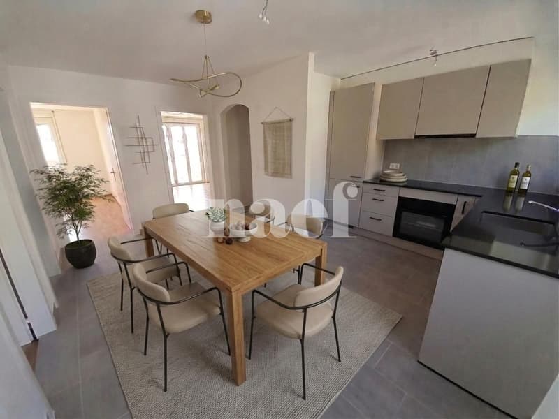 Bel appartement lumineux, entièrement rénové (4)