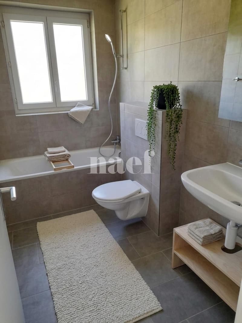 Bel appartement lumineux, entièrement rénové (6)