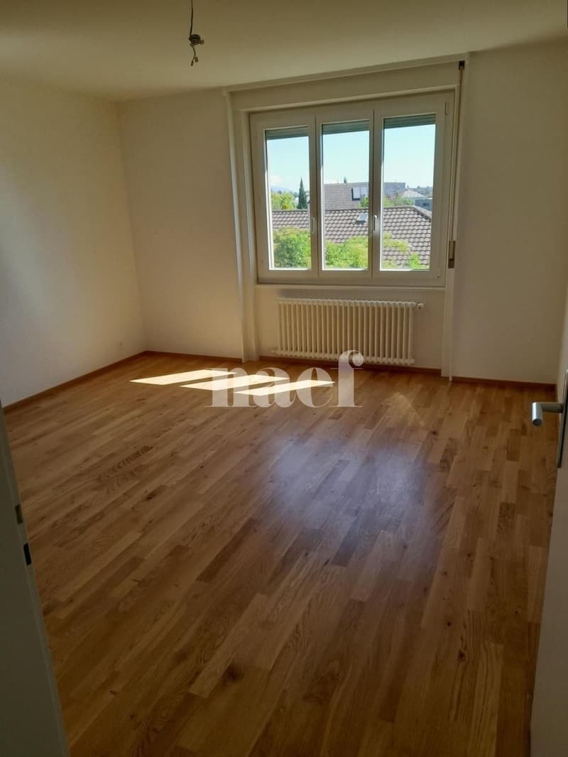 Bel appartement lumineux, entièrement rénové (2)