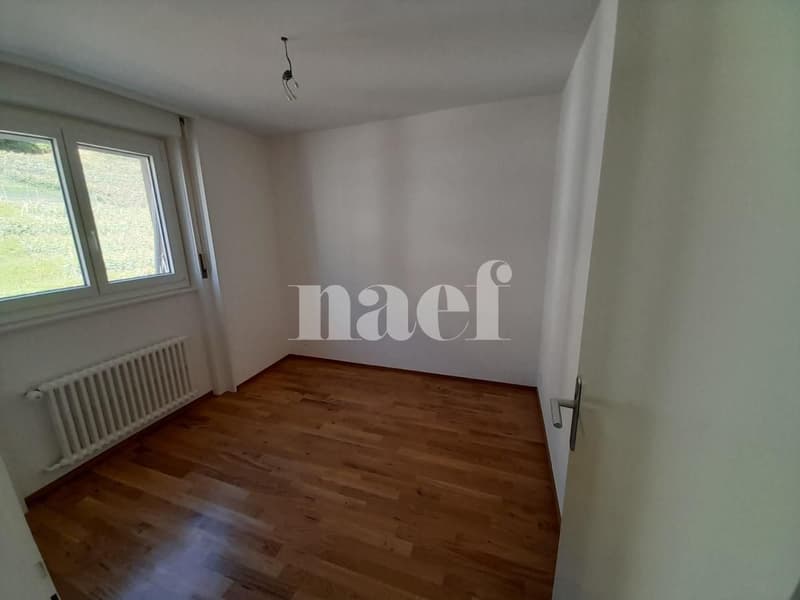 Bel appartement lumineux, entièrement rénové (3)
