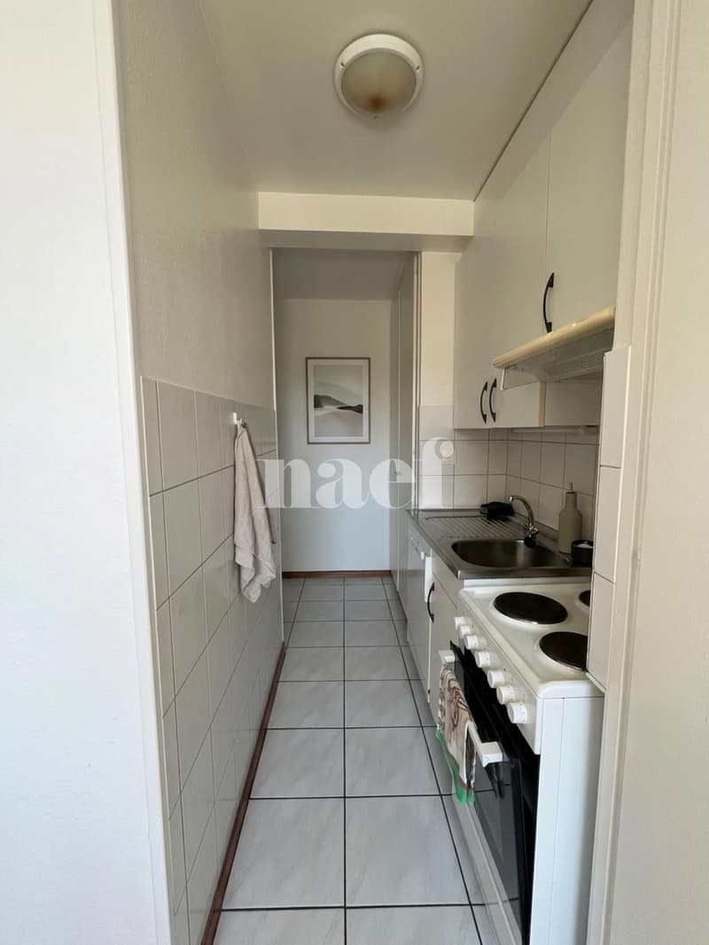 Appartement de 1 pièce à Neuchâtel (4)