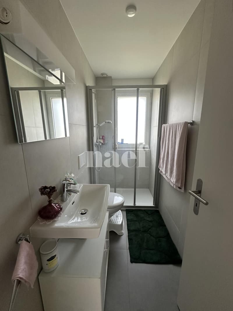 Appartement 3.5 pièces au rez-de-chaussée (7)