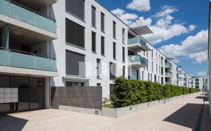 Appartement 3.5 pièces au rez-de-chaussée (1)
