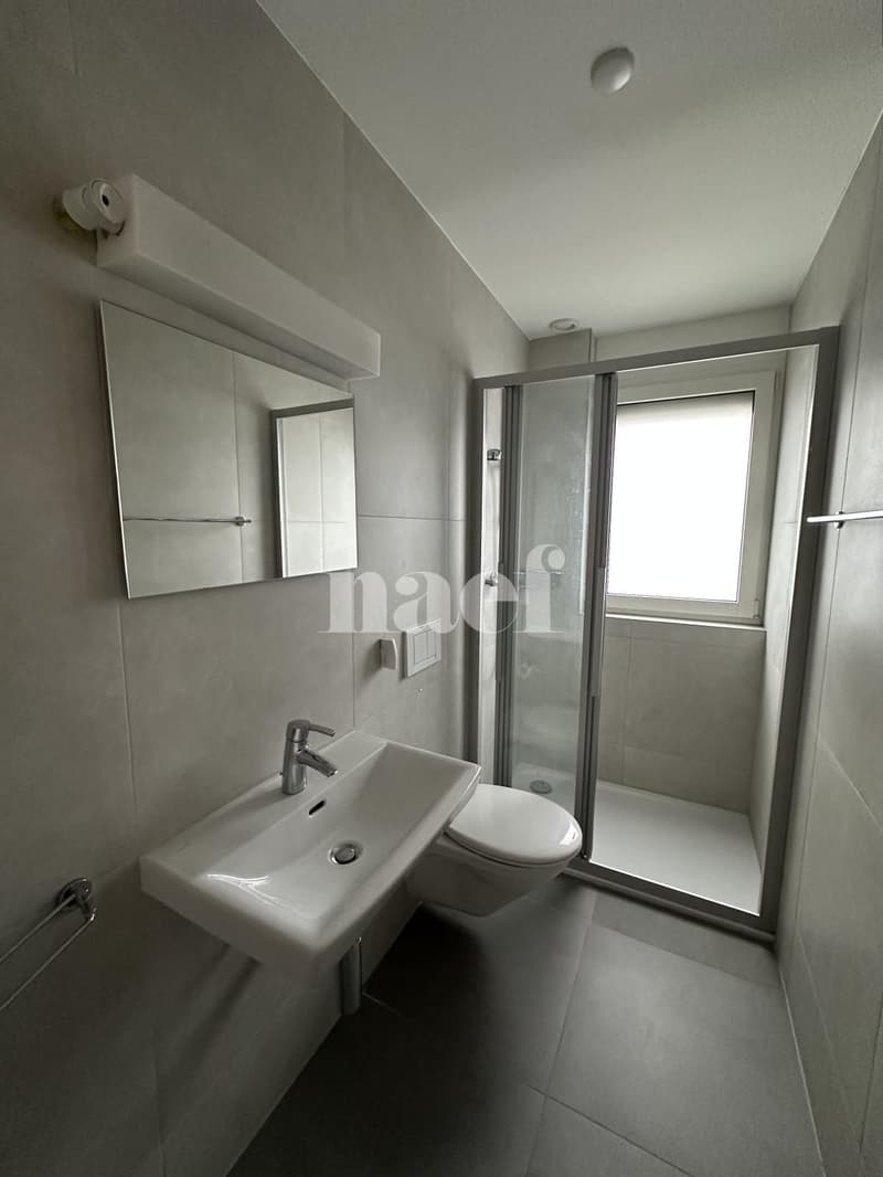 Appartement 3.5 pièces au rez-de-chaussée (6)