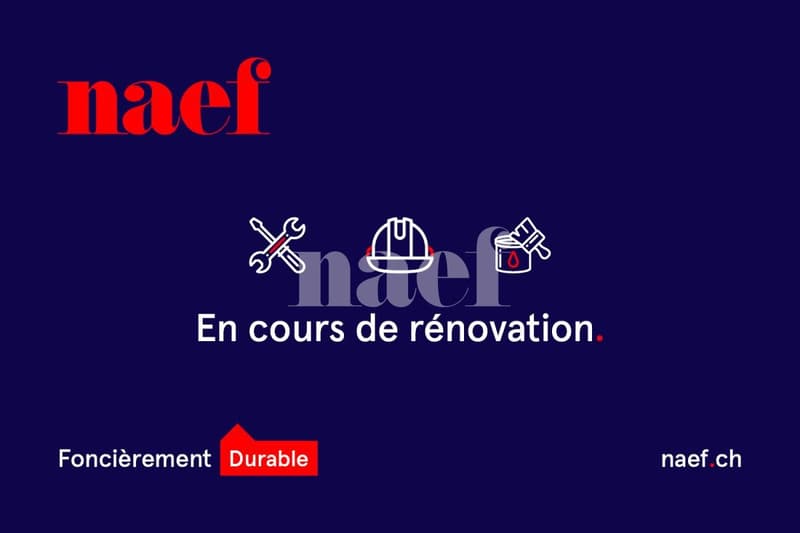 Studios entièrement rénovés au coeur du village (2)
