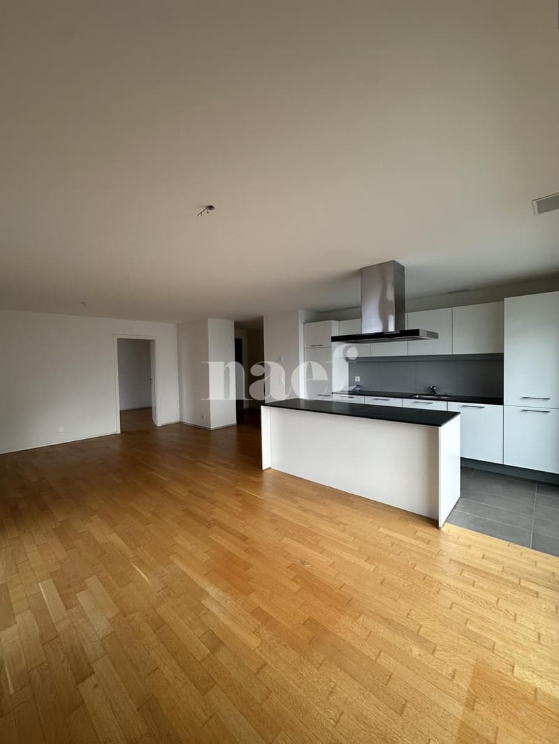 Appartement dans un immeuble récent (2)