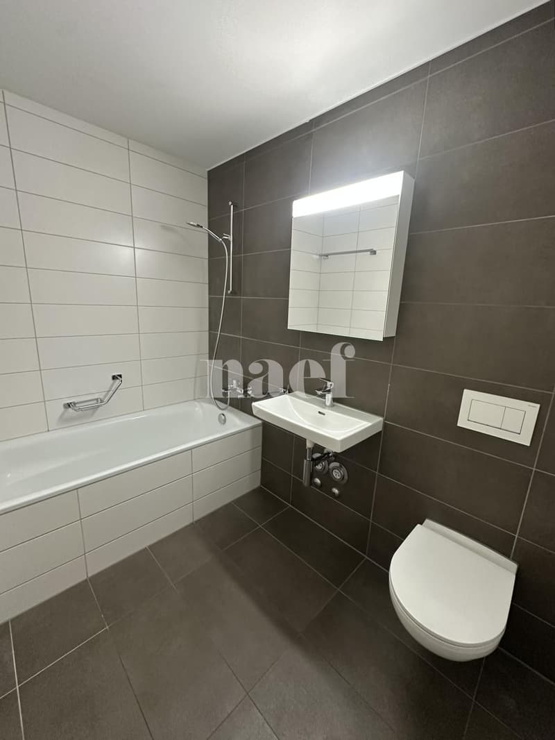 Appartement dans un immeuble récent (5)